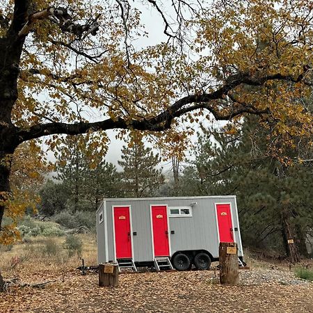 Enchanted Forest Dome ,10-15 Minutes To Kings Canyons-New Pellet Stove For Cozy Warm Nights Dunlap Exterior foto